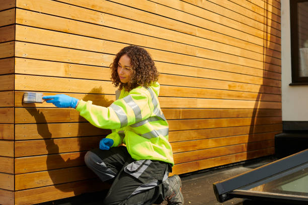 Best Storm Damage Siding Repair  in Mascoutah, IL